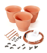 Daisy Rain Three Pot Kit with Timer